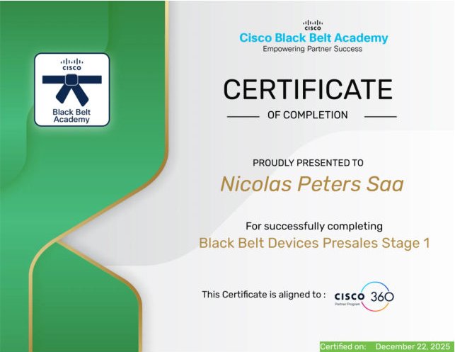 Black Belt Devices Presales Stage 1